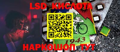 прущие крисы Гай