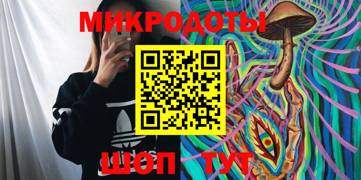 Назрань  наркотики  Вход с VPN  Галлюциногенные грибы прущие грибы 